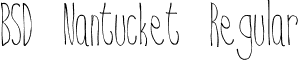 BSD Nantucket Regular font - BSD_Nantucket.ttf