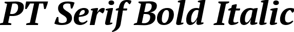 PT Serif Bold Italic font - PT Serif Bold Italic.ttf