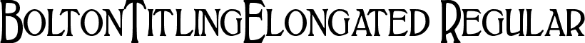 BoltonTitlingElongated Regular font - BoltonTitlingElongated Regular.ttf