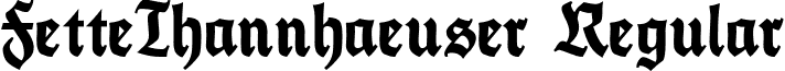 FetteThannhaeuser Regular font - FetteThannhaeuser Regular.ttf