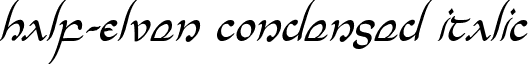Half-Elven Condensed Italic font - Half-Elven Condensed Italic Condensed Italic.ttf