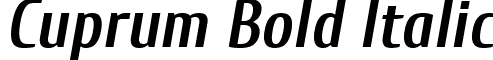 Cuprum Bold Italic font - Cuprum Bold Italic.ttf
