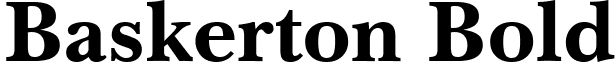 Baskerton Bold font - Baskerton Bold.ttf