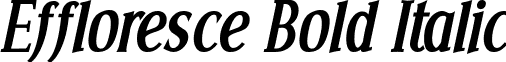 Effloresce Bold Italic font - Effloresce Bold Italic.ttf