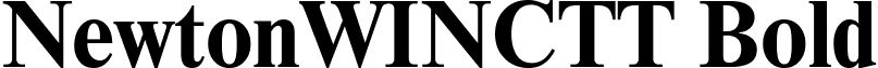 NewtonWINCTT Bold font - NewtonWINCTT Bold.ttf