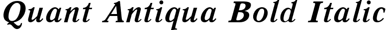 Quant Antiqua Bold Italic font - Quant Antiqua Bold Italic.ttf