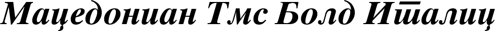 Macedonian Tms Bold Italic font - Macedonian Tms Bold Italic.ttf