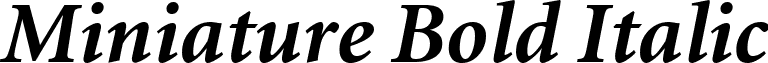 Miniature Bold Italic font - Miniature Bold Italic.ttf