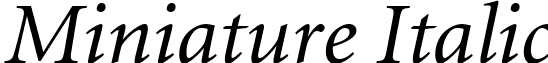 Miniature Italic font - MNTR___O.TTF