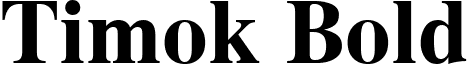 Timok Bold font - Timok Bold.ttf