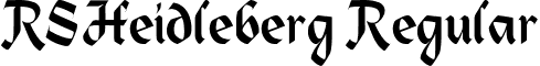 RSHeidleberg Regular font - RSHeidleberg Regular.ttf