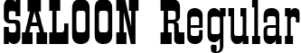 SALOON Regular font - SALOON Regular.ttf