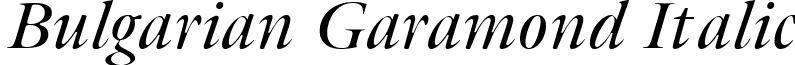 Bulgarian Garamond Italic font - Bulgarian Garamond Italic Italic font.ttf