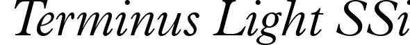 Terminus Light SSi font - terminuslightssilightitalic.ttf