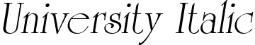 University Italic font - University Italic.ttf