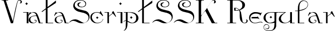 ViataScriptSSK Regular font - viatascriptsskregular.ttf