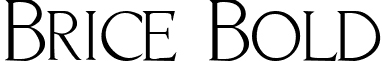 Brice Bold font - bricebold.ttf