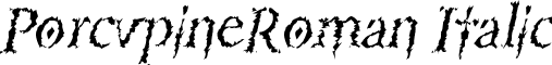 PorcupineRoman Italic font - porcupineromanitalic.ttf