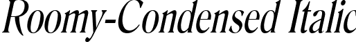 Roomy-Condensed Italic font - roomy-condenseditalic.ttf