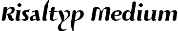 Risaltyp Medium font - Risaltyp_024.otf
